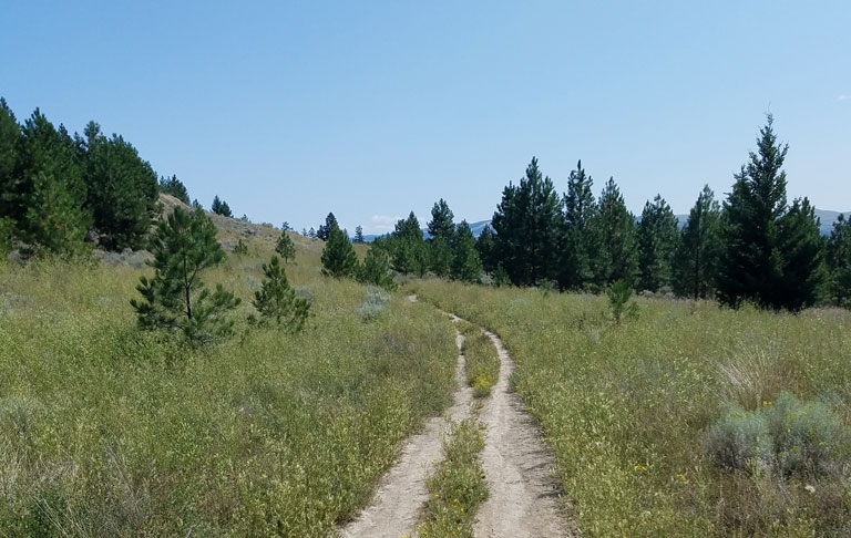 Kenna Cartwright Nature Park
